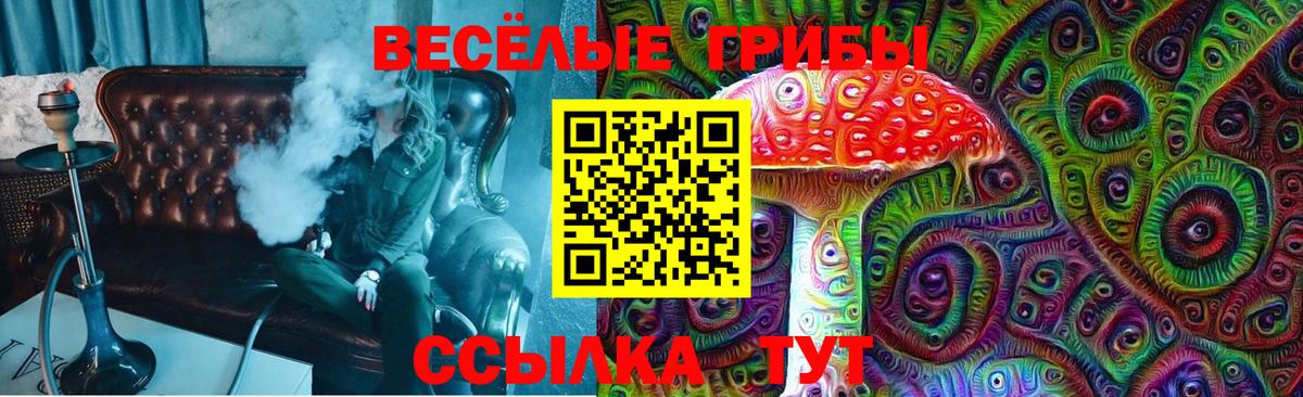 как найти закладки  Галлюциногенные грибы Psilocybe  Кириши  Вход с VPN  Галлюциногенные грибы Magic Shrooms 